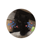 ジジの1日だにゃ（個別スタンプ：35）