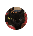 ジジの1日だにゃ（個別スタンプ：38）