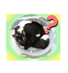 和と真  2（個別スタンプ：4）
