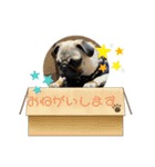 けんちゃん日常会話（個別スタンプ：6）