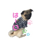 けんちゃん日常会話（個別スタンプ：14）