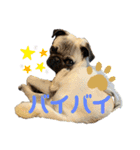 けんちゃん日常会話（個別スタンプ：15）