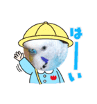 セキセイインコの美喜男（個別スタンプ：10）