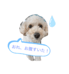 〜茶々丸くんの日常〜（個別スタンプ：3）