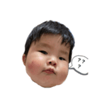 フウタリン（個別スタンプ：1）