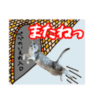 ぺぺさんの1日（個別スタンプ：6）