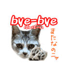 ぺぺさんの1日（個別スタンプ：7）