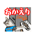 ぺぺさんの1日（個別スタンプ：9）
