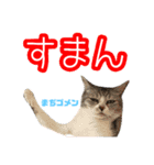 ぺぺさんの1日（個別スタンプ：13）