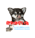 ぺぺさんの1日（個別スタンプ：15）