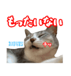 ぺぺさんの1日（個別スタンプ：21）