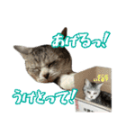 ぺぺさんの1日（個別スタンプ：25）