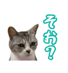 ぺぺさんの1日（個別スタンプ：26）