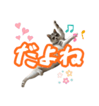ぺぺさんの1日（個別スタンプ：27）