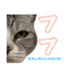 ぺぺさんの1日（個別スタンプ：30）