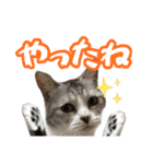 ぺぺさんの1日（個別スタンプ：34）
