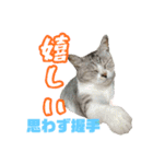 ぺぺさんの1日（個別スタンプ：35）