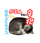 ぺぺさんの1日（個別スタンプ：38）