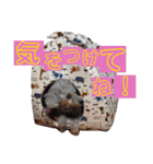 b＆m♡コラボ（個別スタンプ：10）