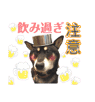 表情豊かな黒柴リキたん.2（個別スタンプ：24）