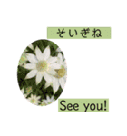 佐賀弁と英語と薔薇と緑（個別スタンプ：3）