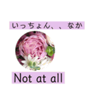 佐賀弁と英語と薔薇と緑（個別スタンプ：5）