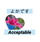 佐賀弁と英語と薔薇と緑（個別スタンプ：7）