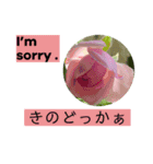 佐賀弁と英語と薔薇と緑（個別スタンプ：8）