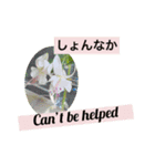 佐賀弁と英語と薔薇と緑（個別スタンプ：9）