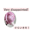 佐賀弁と英語と薔薇と緑（個別スタンプ：10）