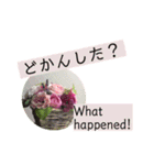 佐賀弁と英語と薔薇と緑（個別スタンプ：12）