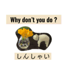 佐賀弁と英語と薔薇と緑（個別スタンプ：14）