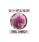 佐賀弁と英語と薔薇と緑（個別スタンプ：15）