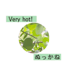 佐賀弁と英語と薔薇と緑（個別スタンプ：16）