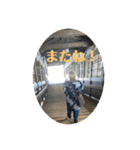 レオナと愉快な仲間達スタンプ（個別スタンプ：31）