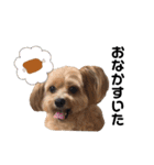 ク リ ン ち ゃ ん（個別スタンプ：3）