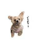 ク リ ン ち ゃ ん（個別スタンプ：8）