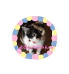 マーゴ＆レオンスタンプ（個別スタンプ：8）