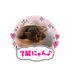 マーゴ＆レオンスタンプ（個別スタンプ：10）