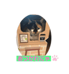 マーゴ＆レオンスタンプ（個別スタンプ：12）