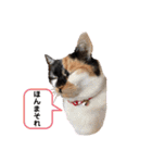 マーゴ＆レオンスタンプ（個別スタンプ：22）