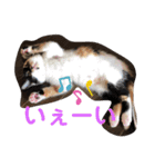 マーゴ＆レオンスタンプ（個別スタンプ：23）
