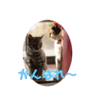 マーゴ＆レオンスタンプ（個別スタンプ：24）