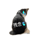 ニャンコの返事5（個別スタンプ：8）