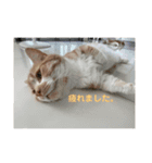 たいうに2（個別スタンプ：1）