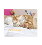 たいうに2（個別スタンプ：4）