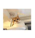 たいうに2（個別スタンプ：5）