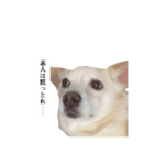 もじょもじょのもじょ（個別スタンプ：1）