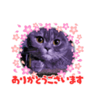 すたんぷあおい（個別スタンプ：7）