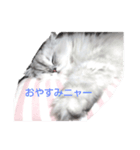 テンプラ君（個別スタンプ：5）